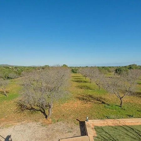 Finca Ses Figueretes 别墅 费拉尼奇