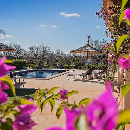 Finca Ses Figueretes 别墅 *